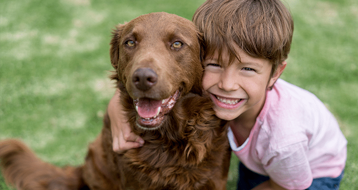 In Home Pet Euthanasia in Denver