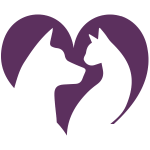 heart heart
