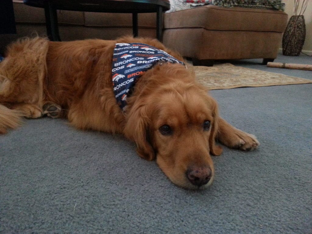 Cooper Tribute for Cooper
