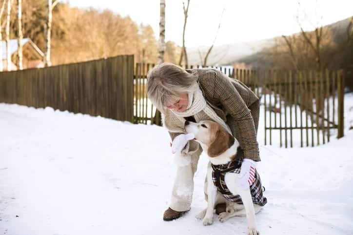 How to Help Your Senior Pet’s Mobility this Winter