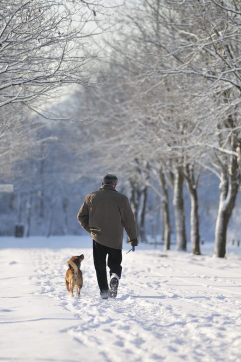 Man walking a dog in a winter park