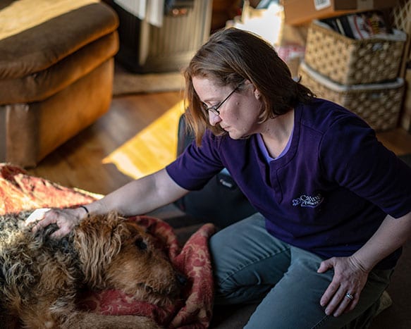 vet-old-dog-co Vet consoling dog: Veterinary Career Opportunities in Denver