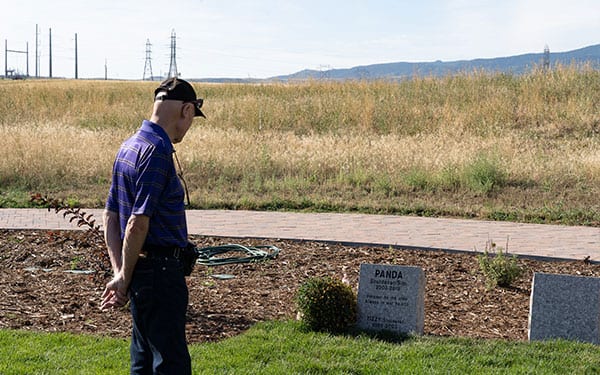 Man looking at memorial: Photo Gallery