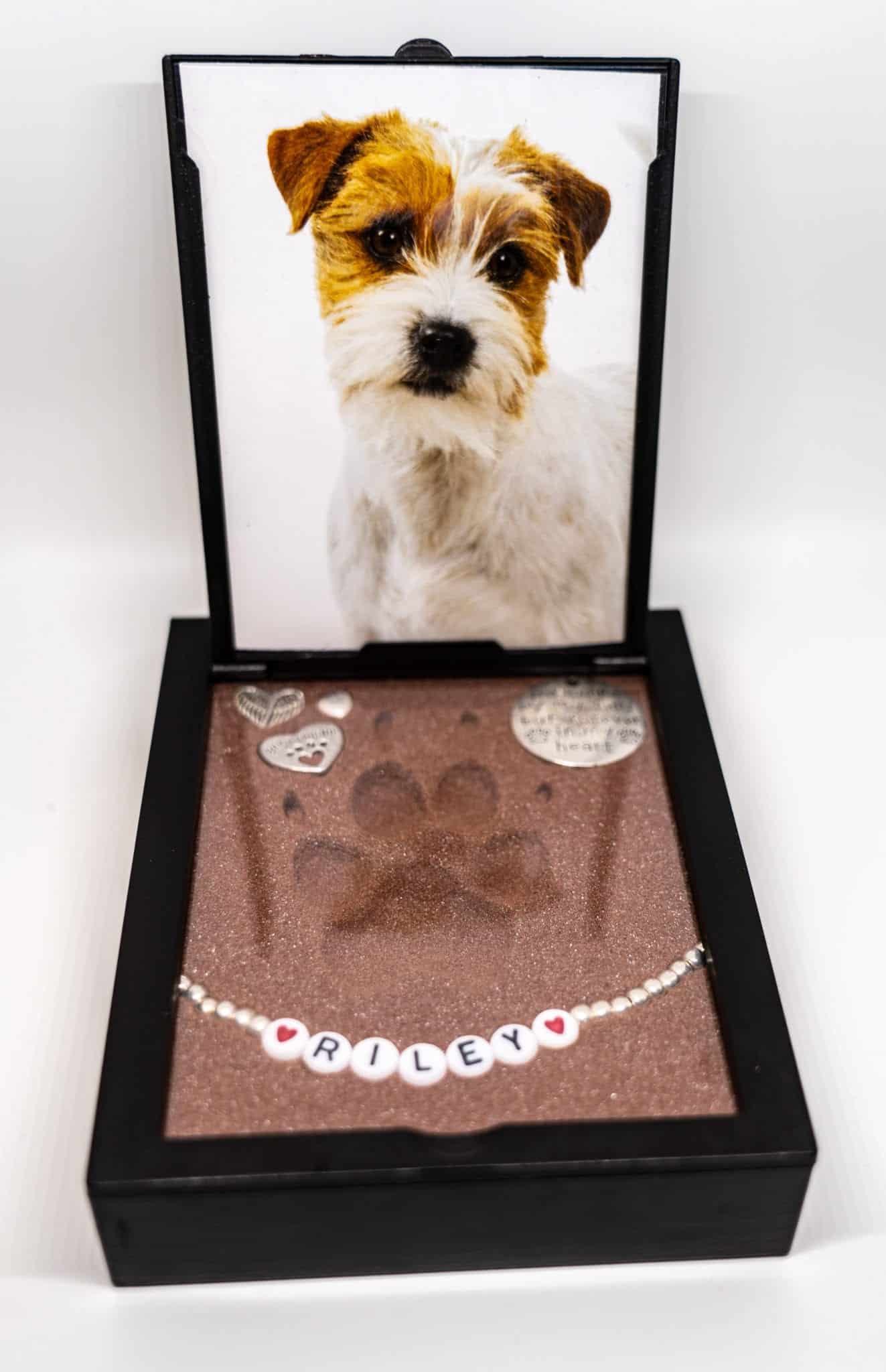 Pawpals Memorial Example for a Dog