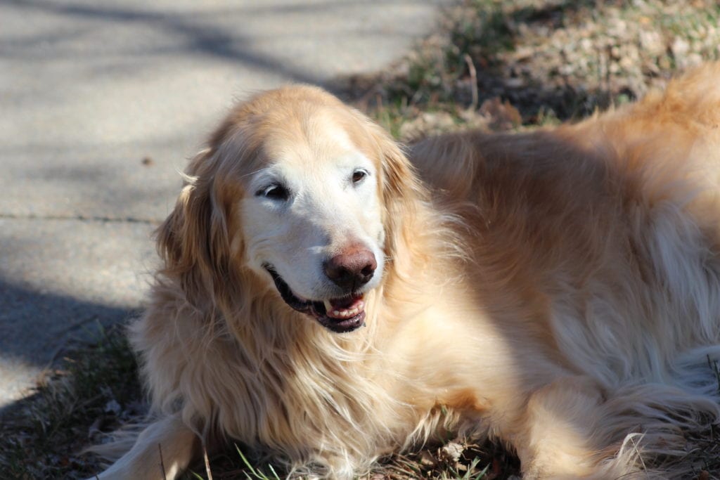 Brio smiling Brio smiling