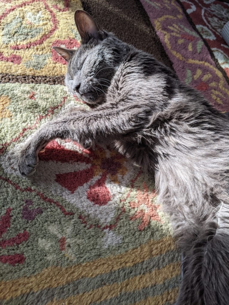 Testimonial from Annie Mirabella Caring Pathways