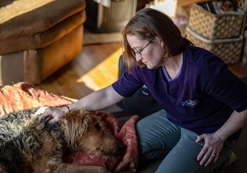 In-home Pet Euthanasia - Caring Pathways