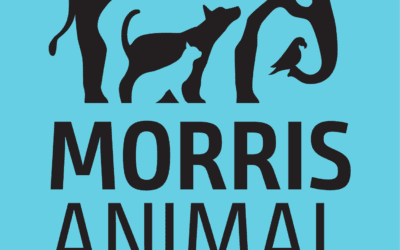 Our Commitment to Supporting the Morris Animal Foundation