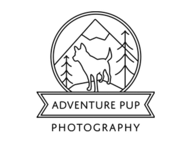 Adventure Pup Photography