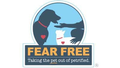 Offering a “Fear Free” Experience for Your Pet’s End-of-Life Journey