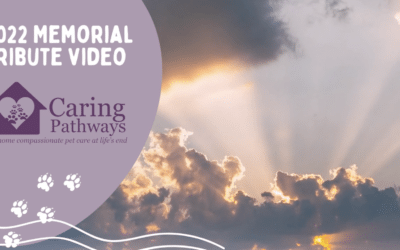 The Caring Pathways 2022 Memorial Tribute Video