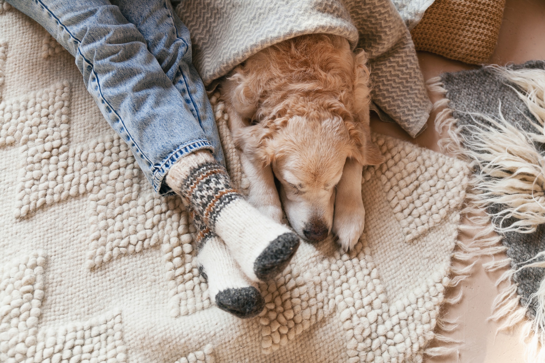 Real Estate Leasing For Pet Caregivers