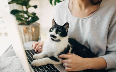 A Helpful Guide to Compassionate Veterinary Telehealth Services