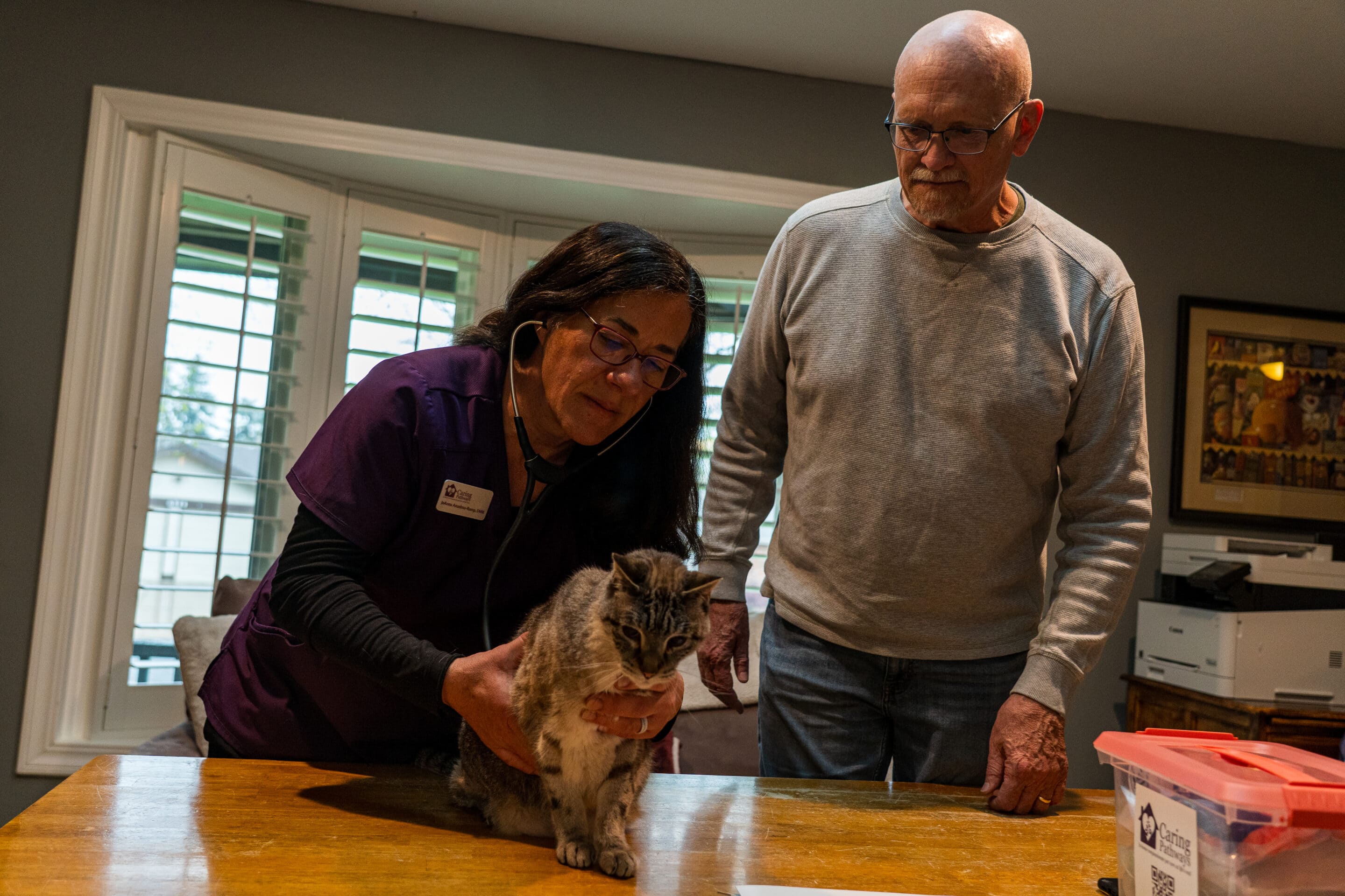 In-home pet hospice care