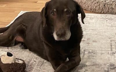Sadie