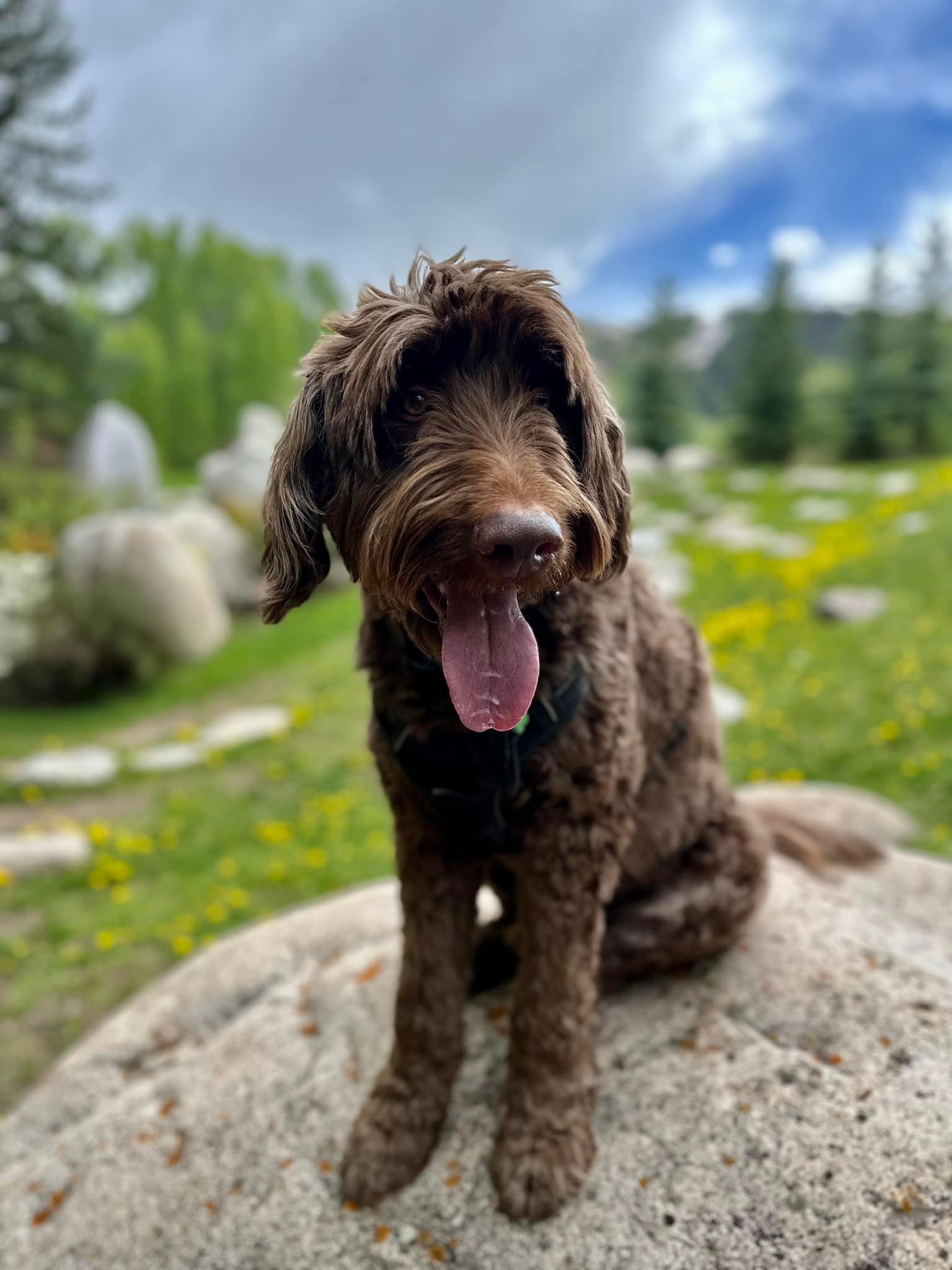 574573090_10164896399093115_2356938195627210433_n_6186