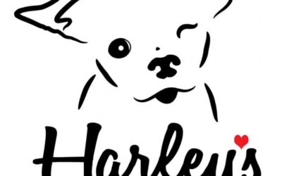 How Caring Pathways Supports Harley’s Dream Rescue & Rehabilitation