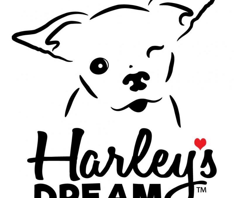 How Caring Pathways Supports Harley’s Dream Rescue & Rehabilitation
