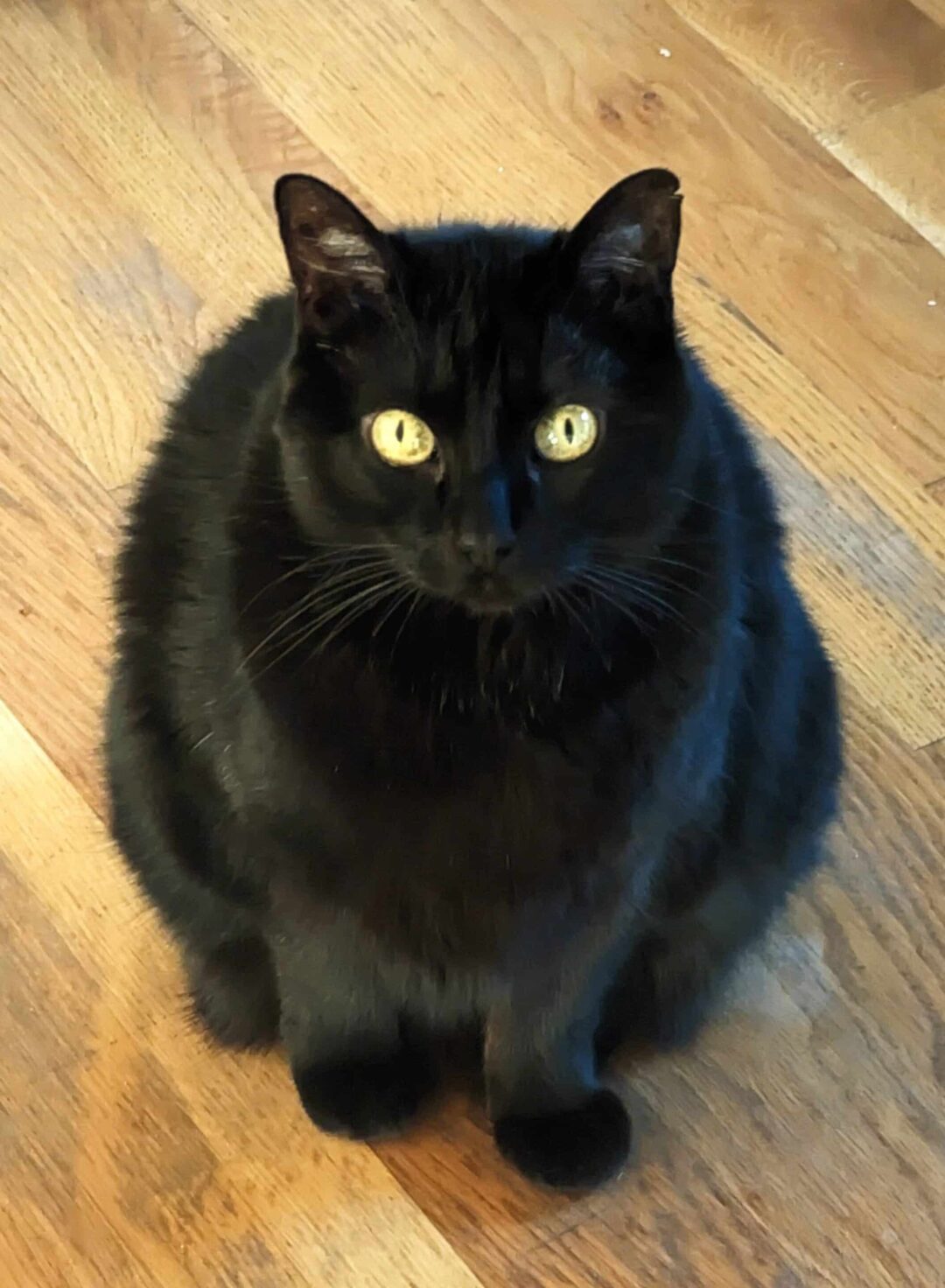 PXL_20230917_134145318~2_6008