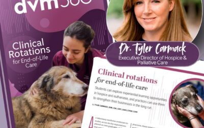 Caring Pathways Featured in dvm360 Cover Story on Veterinary End-of-Life Care Training