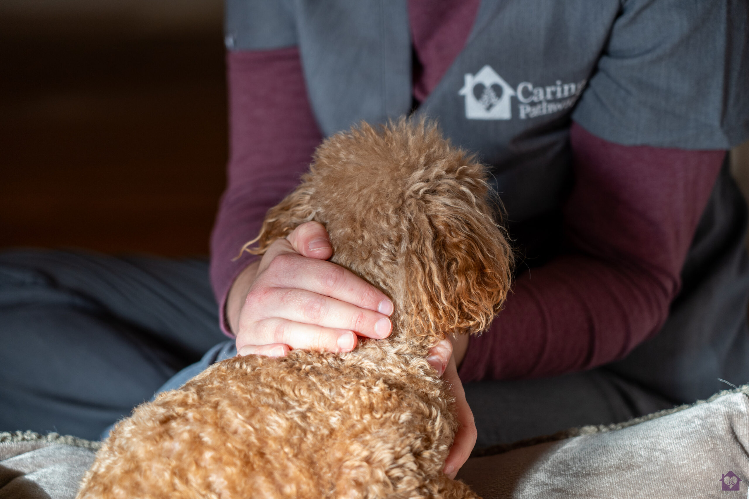 Grief Support for your pet