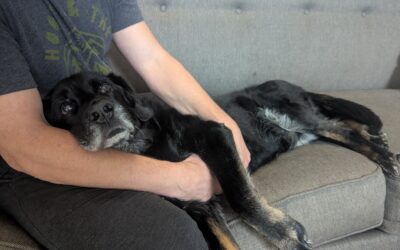 Vader
