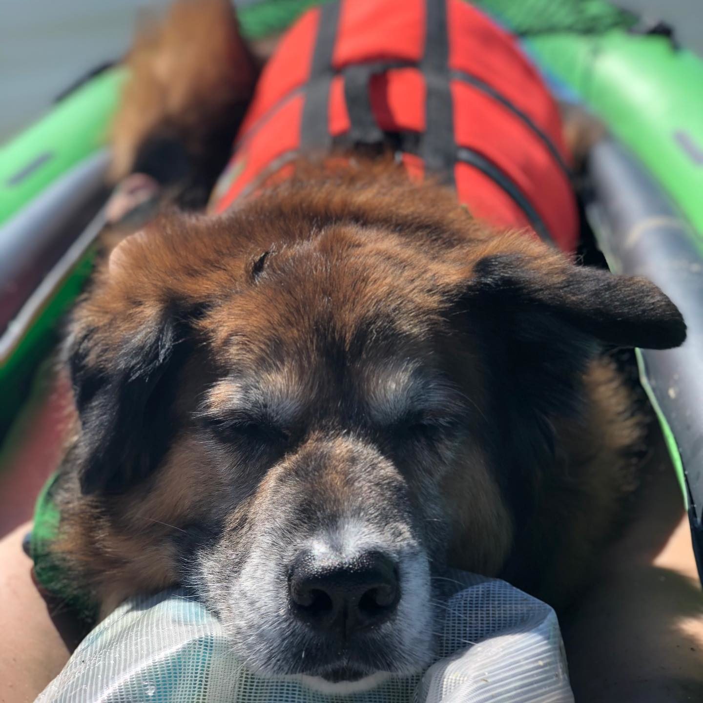 Charlie Kayak2 Charlie Kayak2