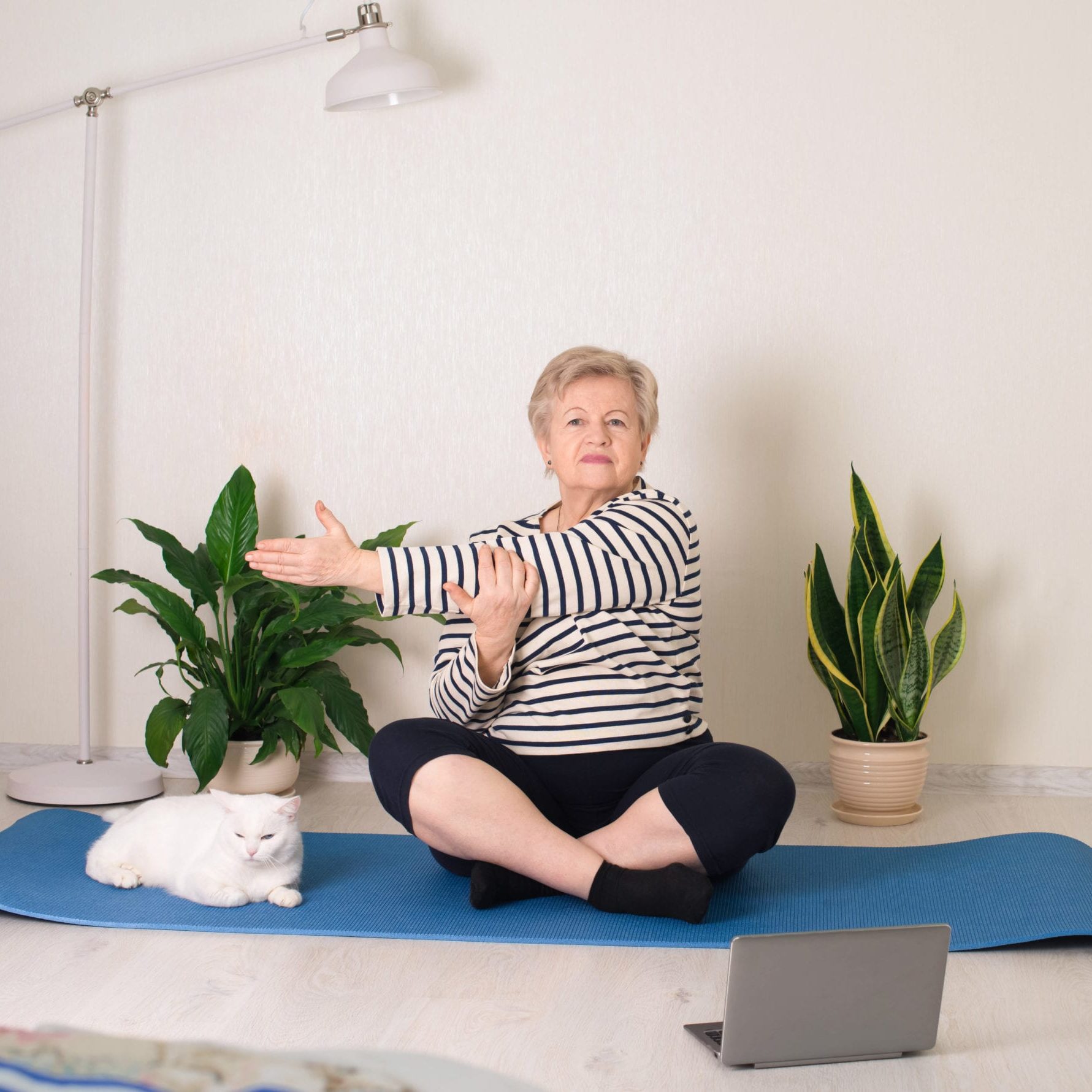 Fitness training online, senior woman at home stretching with cat and tablet computer laptop. Old people health and lifestyle concept. Fitness training online, senior woman at home stretching with cat and tablet computer laptop. Old people health and lifestyle concept.