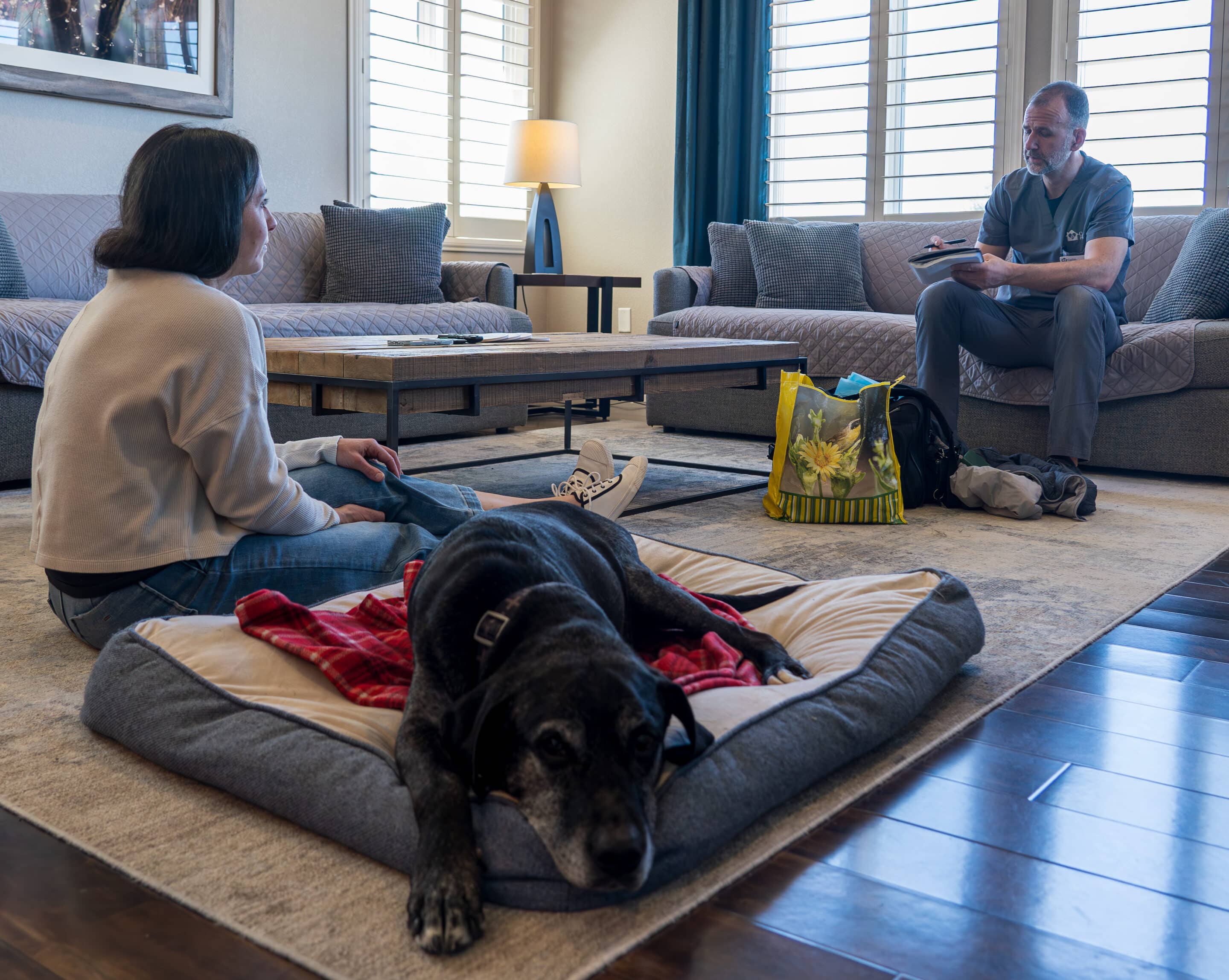 Grief Support for your pet